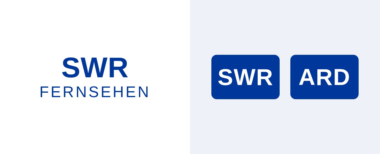 SWR-Fernsehbericht über Vertidisan
